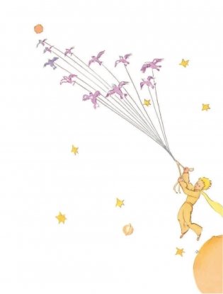 Маленький принц фото книги 2