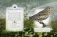 The Little Book of the Dawn Chorus. Sound Book фото книги маленькое 5