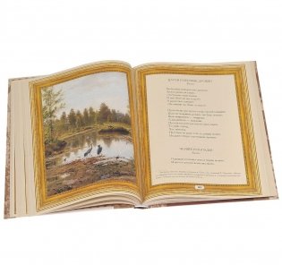 Избранное фото книги 9