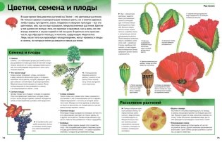 Новая энциклопедия школьника фото книги 2