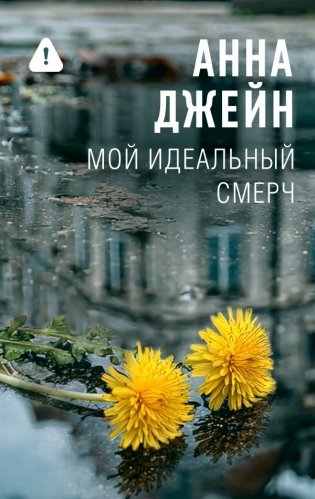 Мой идеальный смерч фото книги