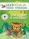 Что лежит в лукошке. Для занятий с детьми от 3 до 4 лет. Книжка с дидактической игрой фото книги маленькое 2