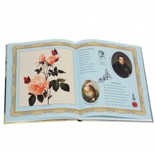 И жизнь, и слезы, и любовь… фото книги 3