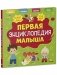 Главная книга малыша. Первая энциклопедия малыша фото книги маленькое 3