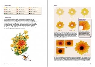 Birds and Flowers in Colored Pencil: Step-by-Step Tutorials and Techniques фото книги 10