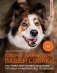 Ключ к характеру вашей собаки. Как через игру понять мышление питомца и раскрыть его потенциал фото книги маленькое 2