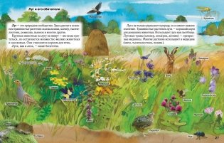 Атлас. Человек и мир. 3 класс фото книги 4