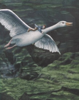 Чудесное путешествие Нильса с дикими гусями. 100 лучших книг фото книги 6