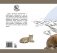 Степи, прерии, пампасы. Серия "Планета животных" фото книги маленькое 4