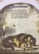 Подарок фото книги маленькое 7