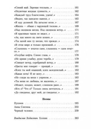 Исповедь хулигана: Стихотворения, поэмы фото книги 5