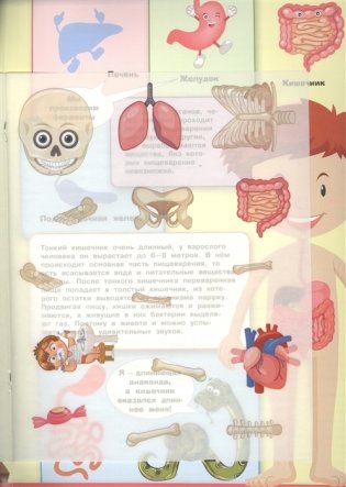 Тело человека. Моя первая энциклопедия с наклейками фото книги 2