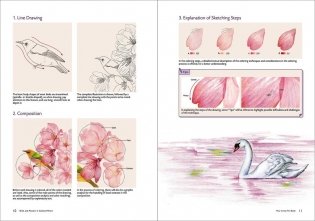 Birds and Flowers in Colored Pencil: Step-by-Step Tutorials and Techniques фото книги 4