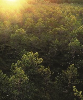 Национальные парки ― жемчужины Беларуси. Нацыянальныя паркі ― жамчужыны Беларусі. National parks ― pearls of Belarus фото книги 2
