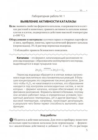 Тетрадь для лабораторных и практических работ по биологии для 11 класса. Повышенный уровень. ГРИФ фото книги 4