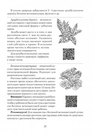 Уголок природы в детском саду фото книги 8