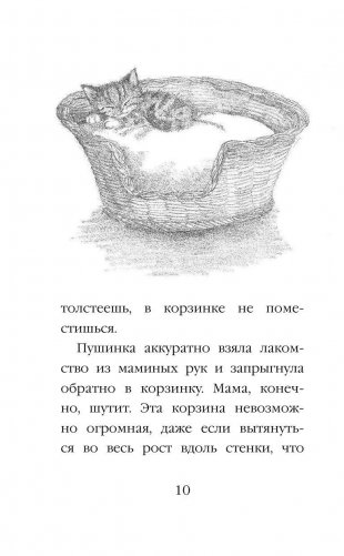 Котёнок Снежинка, или Зимнее волшебство (выпуск 19) фото книги 8