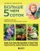 Больше чем 5 соток. Как на маленьком участке получить максимум урожая (новое оформление) фото книги маленькое 2