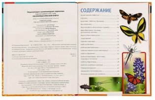Насекомые Красной книги. Энциклопедия с заданиями фото книги 2