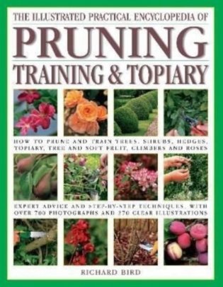 llustrated Practical Encyclopedia of Pruning, Training and Topiary фото книги