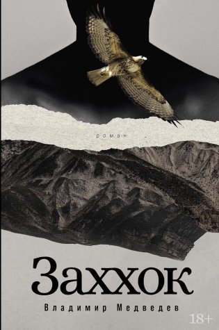 Заххок. Роман фото книги