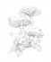 Woodland Wonderland : A Tranquil Coloring Retreat – A Calming Coloring Book of Flowers and Forest Animals for Adults фото книги маленькое 4