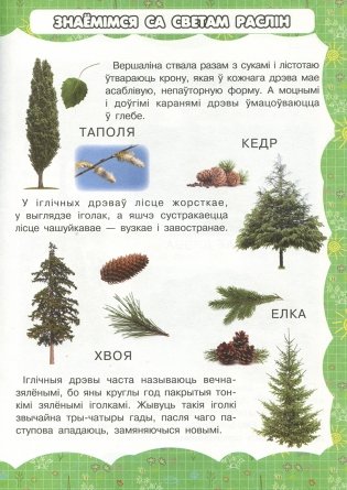 Дрэвы і кветкі фото книги 4