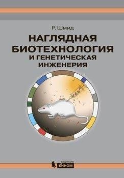 Наглядная биотехнология и генетическая инженерия. Учебно-справочное пособие фото книги