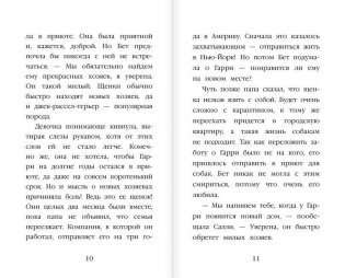 Щенок Гарри, или Здравствуй, дом! фото книги 6