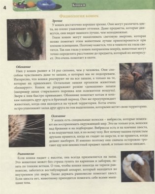 Энциклопедия. Кошки фото книги 5