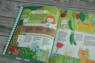 Научные эксперименты фото книги 3