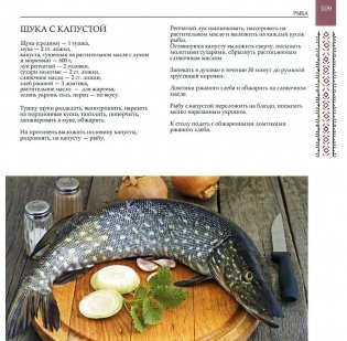Современная украинская кухня фото книги 4