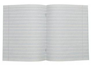 Тетрадь в косую линейку. 12 листов фото книги 2