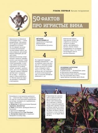 Шампань и другие игристые вина фото книги 11