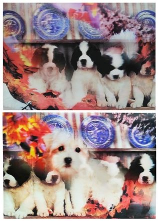 Комплект 3D картин. Набор из 4 штук фото книги