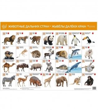 Животные дальних стран. Жывёлы далёкіх краін (интерактивный плакат) фото книги