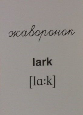 Демонстрационные картинки Супер. Перелетные птицы.16 раздаточных карточек с текстом фото книги 5