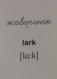Демонстрационные картинки Супер. Перелетные птицы.16 раздаточных карточек с текстом фото книги маленькое 6