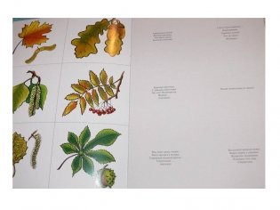 Что лежит в лукошке. Для занятий с детьми от 3 до 4 лет. Книжка с дидактической игрой фото книги 3