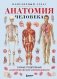 Анатомия человека. Популярный атлас. Самые подробные анатомические изображения фото книги маленькое 2