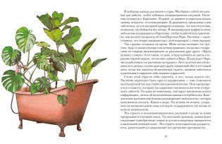 Утешение природой фото книги 5