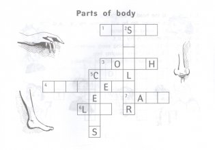 Веселые кроссворды по английскому языку для начальной школы фото книги 4