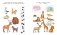 Что нас окружает. 5-6 лет фото книги маленькое 3