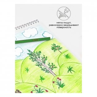 Карандаши цветные Гамма "Классические", 18 цв., заточен., картон. упаковка, европодвес. Арт. 050918_03_03 фото книги 6