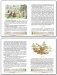 Лесная больница. Урман и родник фото книги маленькое 4