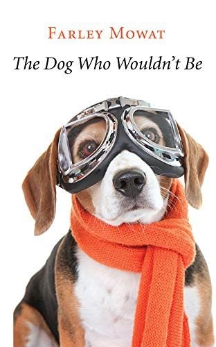 The Dog Who Wouldn't Be фото книги