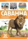 Первые знания малыша. Саванна фото книги маленькое 2