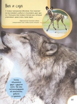 Животные. Лучшая детская энциклопедия фото книги 6