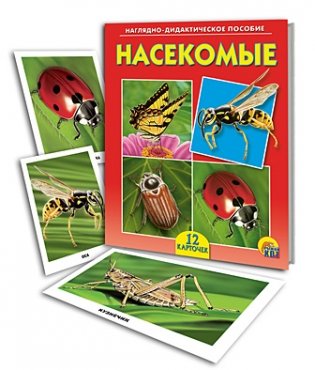 Наглядно-дидактическое пособие "Насекомые" фото книги