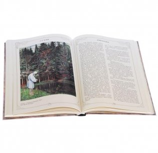 Все оттенки любви фото книги 3